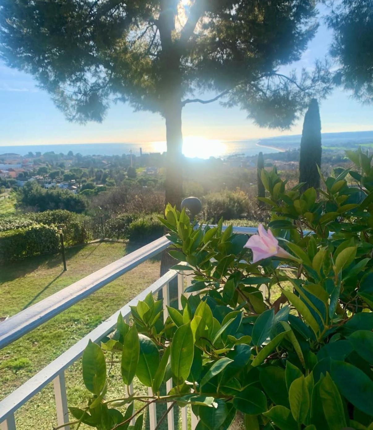 시롤로 Tra Gli Alberi E Il Mare B&B 외부 사진