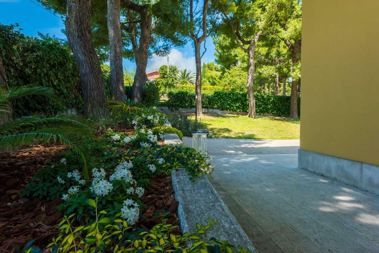 시롤로 Tra Gli Alberi E Il Mare B&B 외부 사진